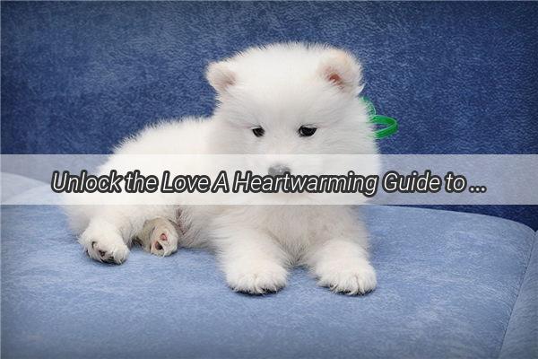 Unlock the Love A Heartwarming Guide to Flirty Playtime with Your Furry Friend